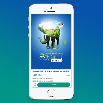 (獨立手機版)單頁落地頁推廣網(wǎng)站模板 - 帶復(fù)制微信號