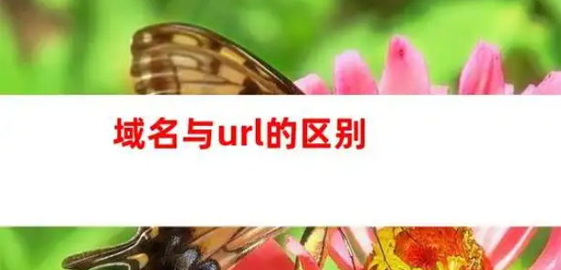 域名和URL有什么區(qū)別？全面解析兩者的核心功能與關鍵差異